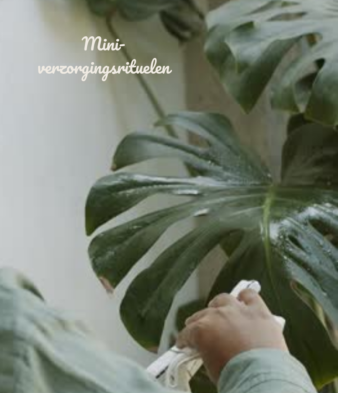 Mini-verzorgingsrituelen