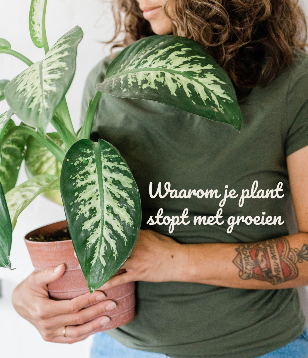 Waarom je plant ineens stopt met groeien